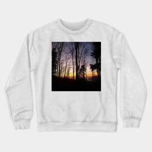 Trees Silhouette Colorful Sunset in Zagreb, Croatia Crewneck Sweatshirt